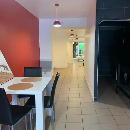 Gite Spacieux Avec Cour Au Centre D Agen *